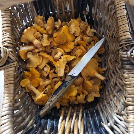 Апартаменты Mauthnerhube Mit Sauna, Whirlpool, Huettenfeeling