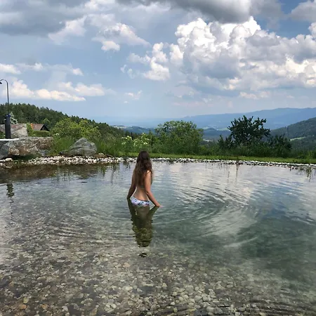 Mauthnerhube Mit Sauna, Whirlpool, Huettenfeeling
