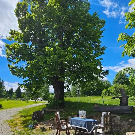 Mauthnerhube Mit Sauna, Whirlpool, Huettenfeeling