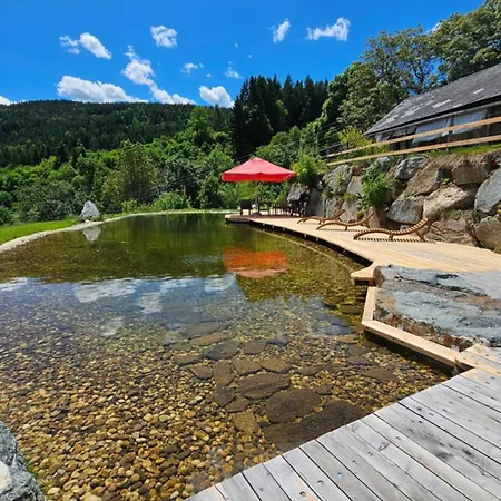 Апартаменты Mauthnerhube Mit Sauna, Whirlpool, Huettenfeeling *