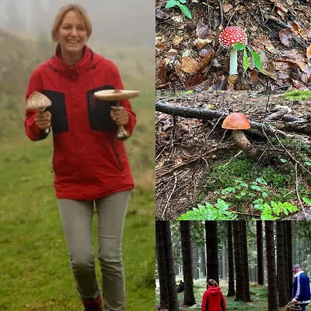 Mauthnerhube Mit Sauna, Whirlpool, Huettenfeeling Sankt Oswald ob Eibiswald