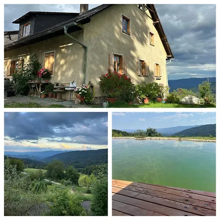 Mauthnerhube Mit Sauna, Whirlpool, Huettenfeeling
