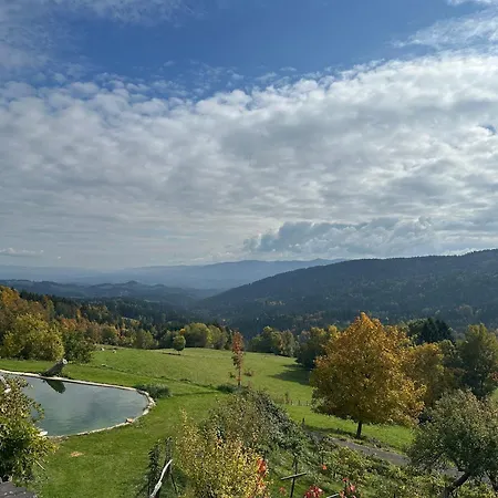 Mauthnerhube Mit Sauna, Whirlpool, Huettenfeeling Appartement Sankt Oswald ob Eibiswald