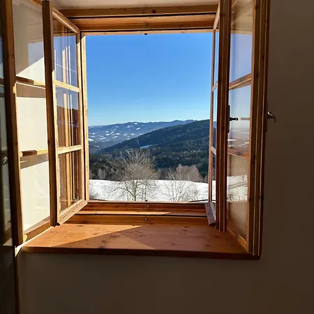 Mauthnerhube Mit Sauna, Whirlpool, Huettenfeeling *
