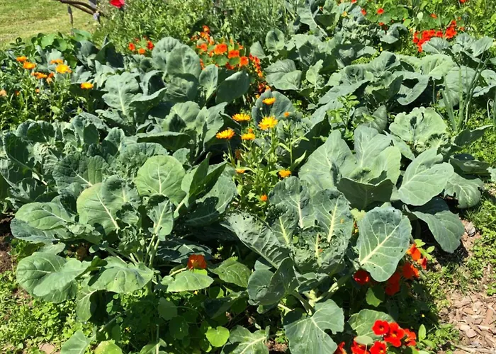 Mauthnerhube Mit Sauna, Whirlpool, Huettenfeeling