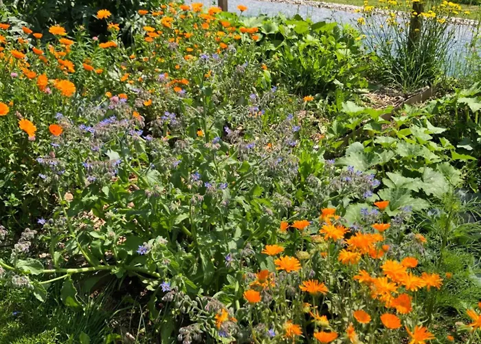 Mauthnerhube Mit Sauna, Whirlpool, Huettenfeeling 公寓 *