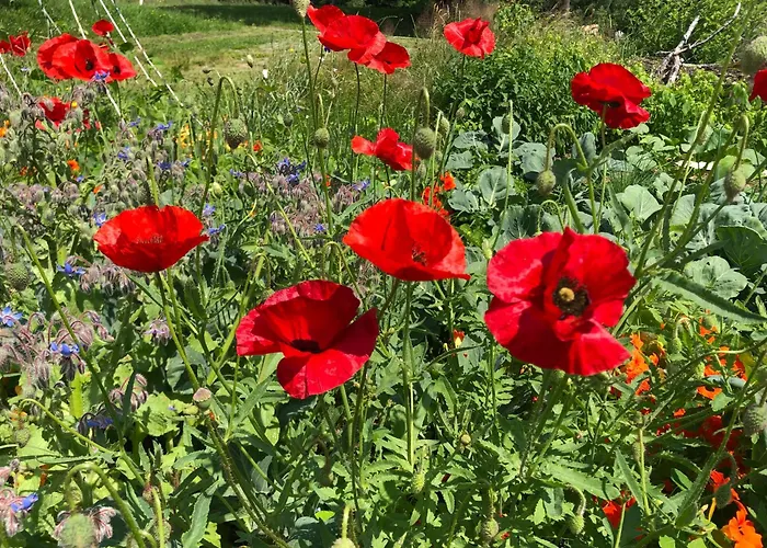 Mauthnerhube Mit Sauna, Whirlpool, Huettenfeeling *