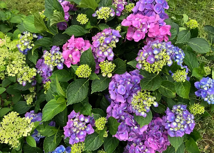 Mauthnerhube Mit Sauna, Whirlpool, Huettenfeeling 公寓 *