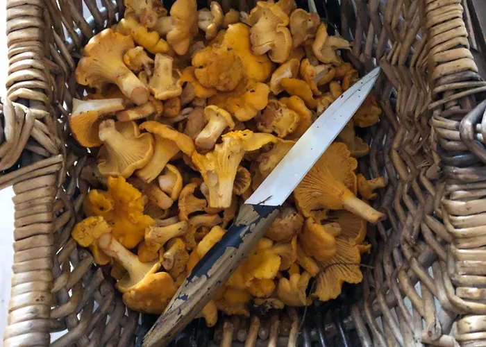 公寓 Mauthnerhube Mit Sauna, Whirlpool, Huettenfeeling