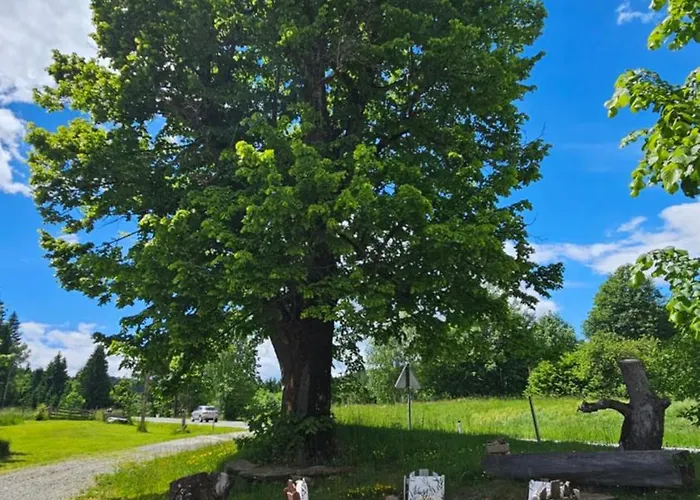 Mauthnerhube Mit Sauna, Whirlpool, Huettenfeeling