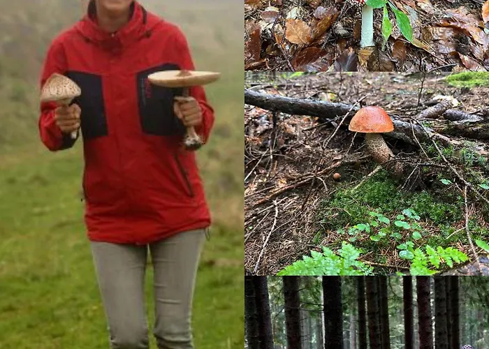 Mauthnerhube Mit Sauna, Whirlpool, Huettenfeeling Sankt Oswald ob Eibiswald