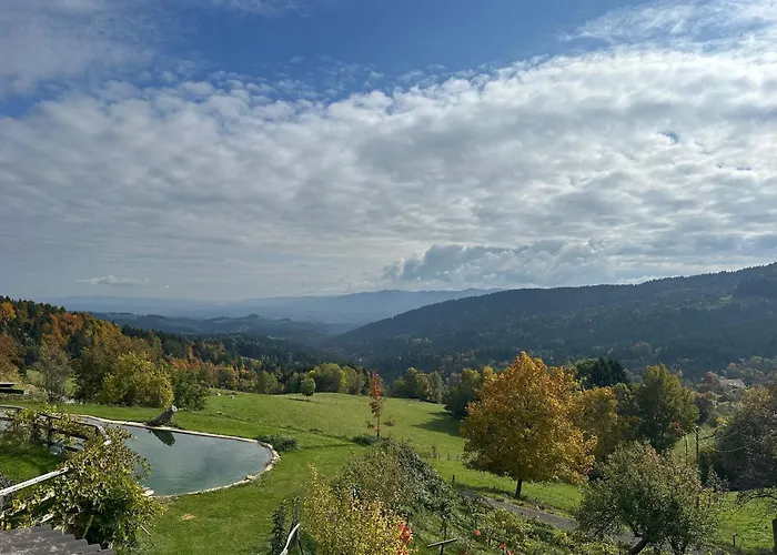 Mauthnerhube Mit Sauna, Whirlpool, Huettenfeeling 公寓 Sankt Oswald ob Eibiswald